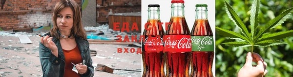 тгк Богородицк