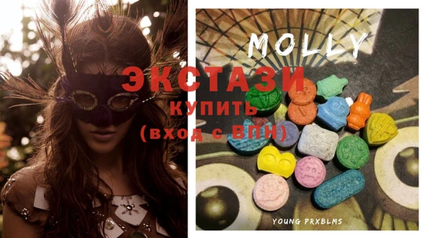 тгк Богородицк