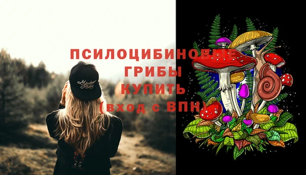 тгк Богородицк