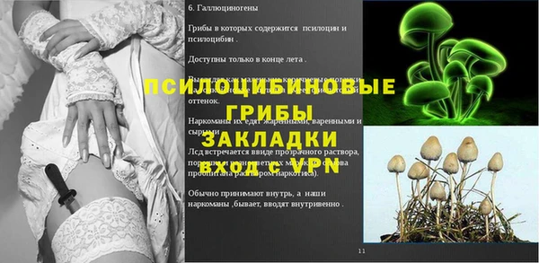 ПСИЛОЦИБИНОВЫЕ ГРИБЫ Белоозёрский