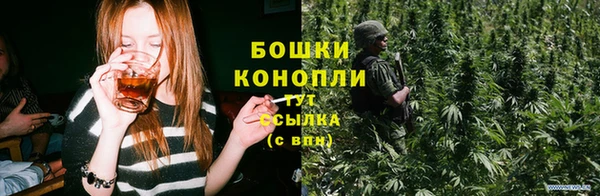 apvp Богородск