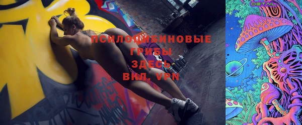 сатива Богданович