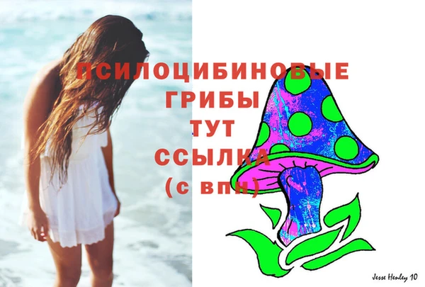 тгк Богородицк