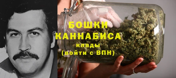 сатива Богданович