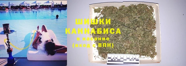 тгк Богородицк